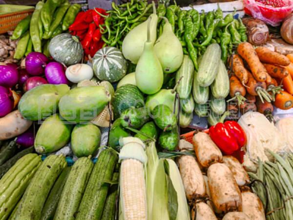 中国市场上有新鲜蔬菜的柜台